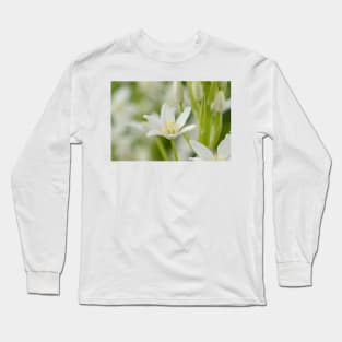 Ornithogalum magnum  Star of Bethlehem  Giant Starflower Long Sleeve T-Shirt